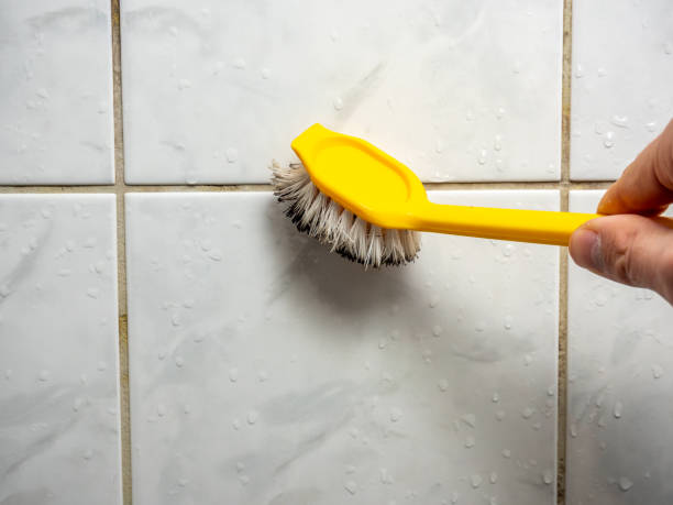 Mold Removal Process in New Paris, IN