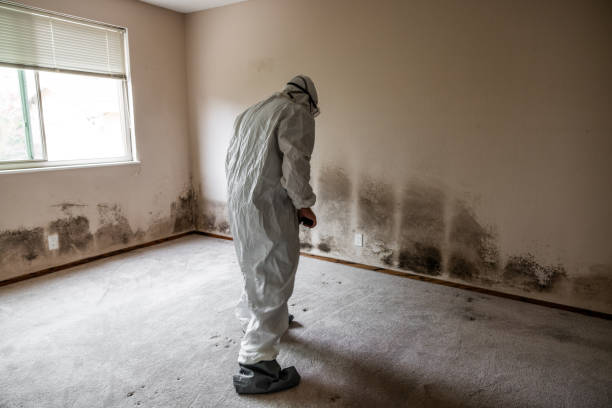 Best Crawl Space Mold Removal  in New Paris, IN